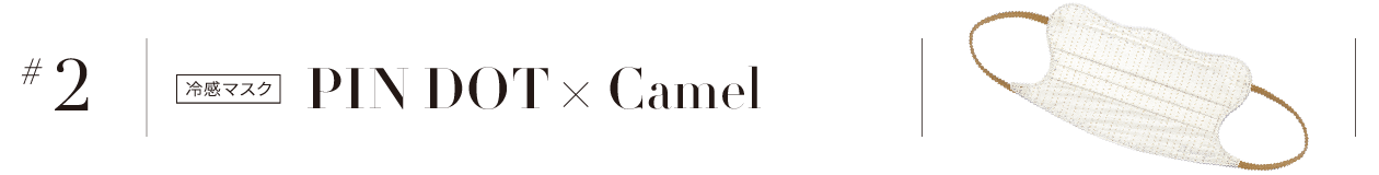 #2 PIN DOT × Camel